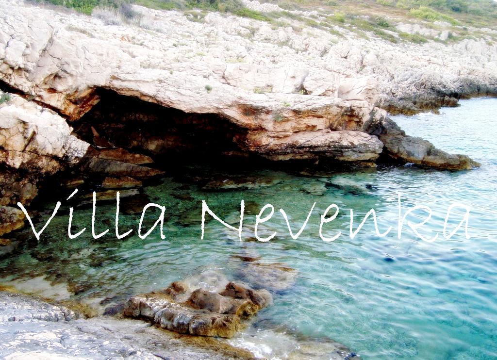 Apartments Villa Nevenka ロゴズニッツァ エクステリア 写真