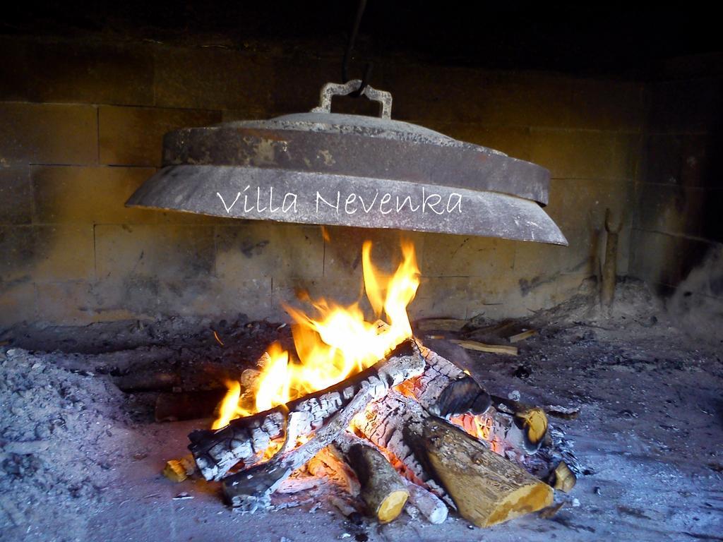 Apartments Villa Nevenka ロゴズニッツァ エクステリア 写真